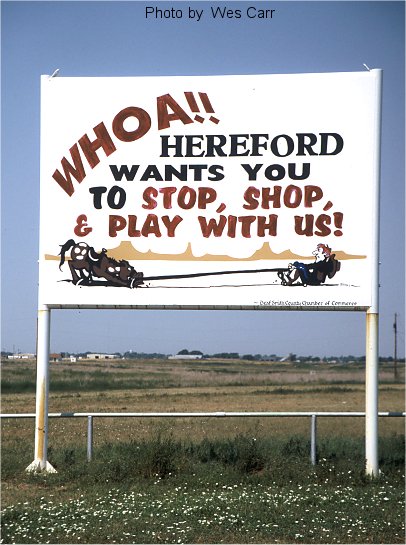 Stop, Shop, and Play in Hereford