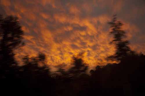 andy anderson texas eagle setting sun image