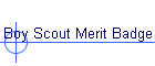 Boy Scout Merit Badge