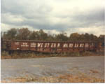 WM 55484