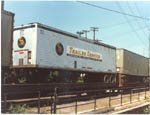 Chessie Trailer