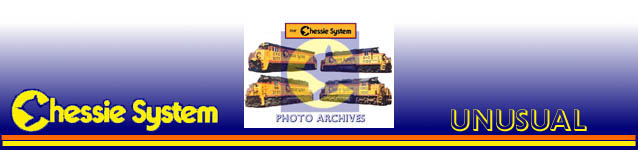 Unusual Locos and paint