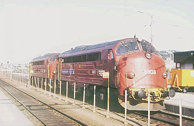 di3603_1034.jpg
