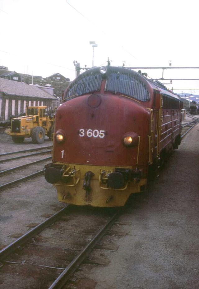 di3605_4031.jpg