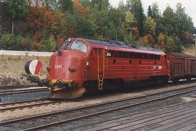 di3611.jpg