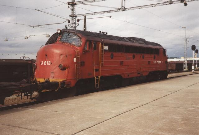 di3613.jpg