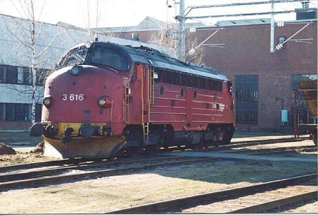 di3616.jpg