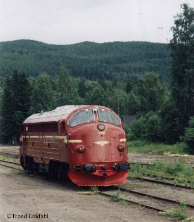 di3616_dokka_19990704_tl.jpg