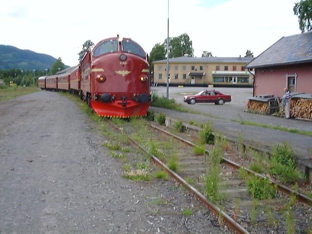 di3616ankdokka.jpg