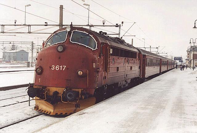 di3617.jpg