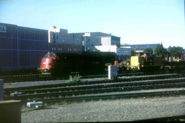 di3618.jpg