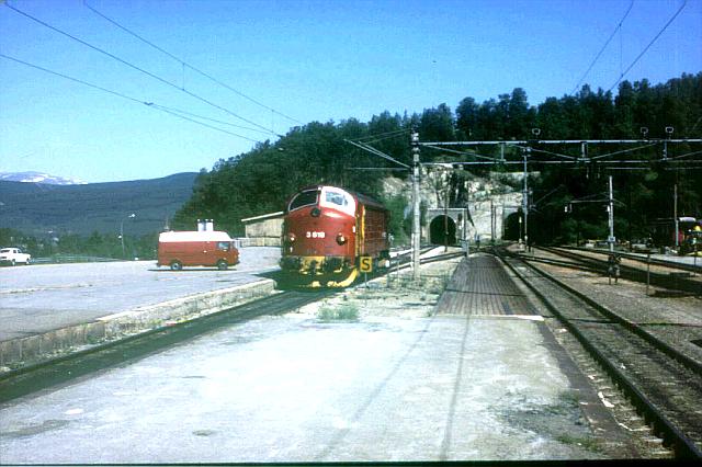 di3619_2335.jpg