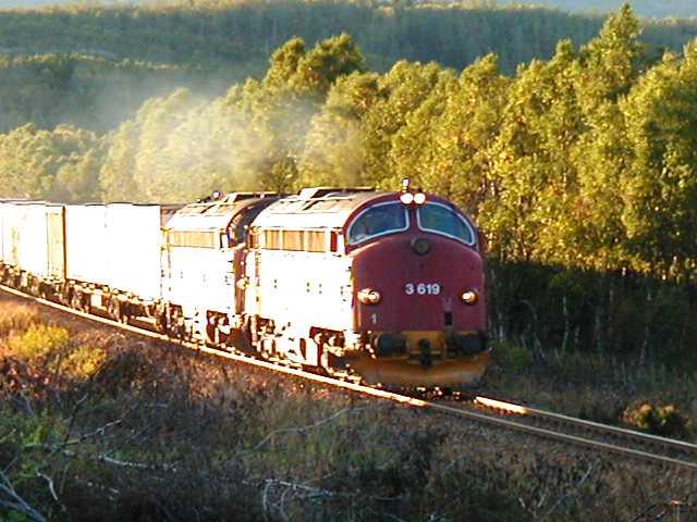 di3619_3628_5793_20000906_or.jpg