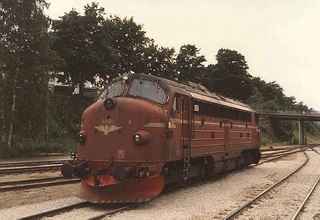 di3620.jpg