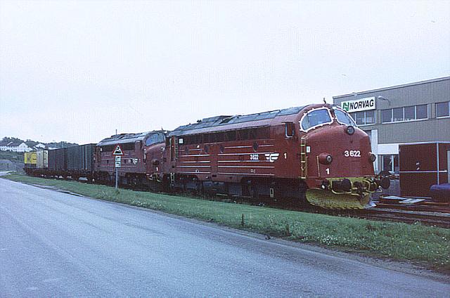 di3622.jpg