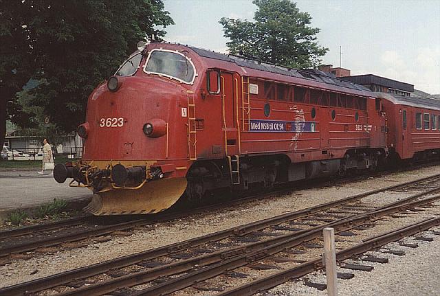 di3623.jpg
