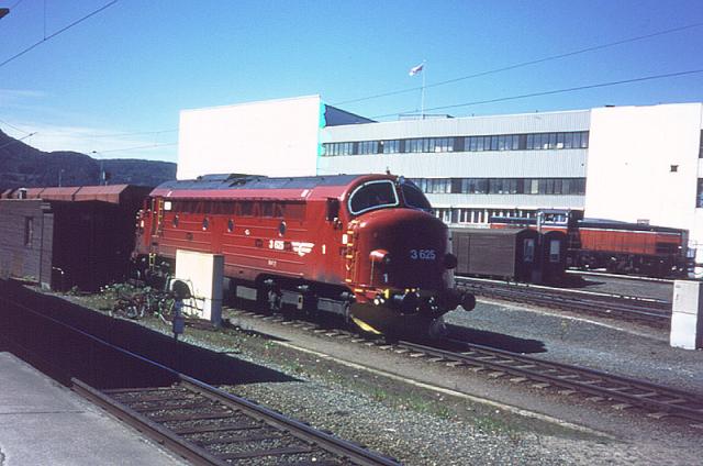 di3625.jpg