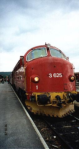 di3625_301_roros_19980628_sb.jpg