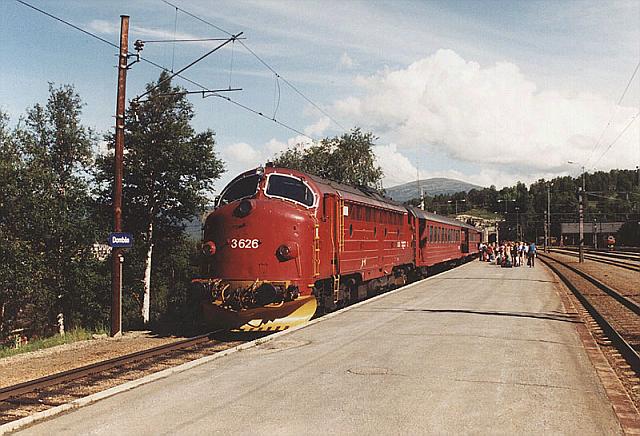di3626.jpg