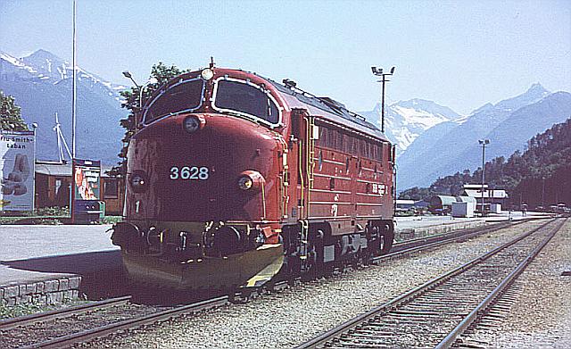 di3628.jpg