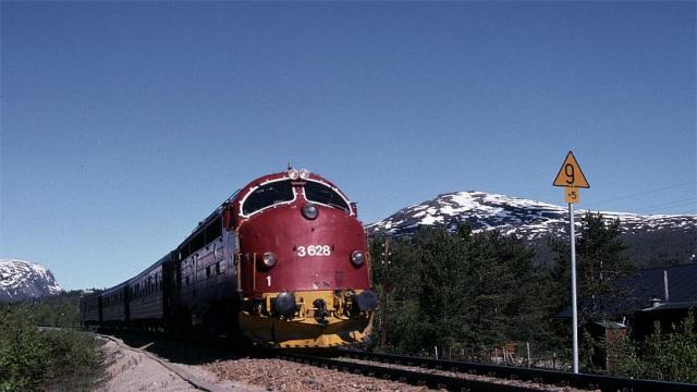 di3628_2352_bjorli_20000606_rgn.jpg