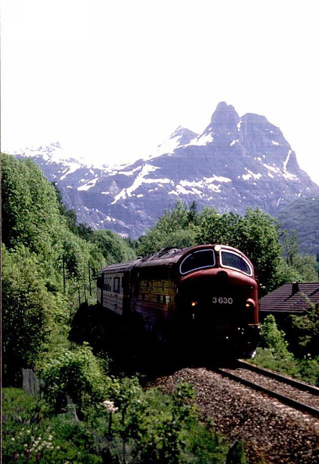 di3630_Tog351.110697.jpg