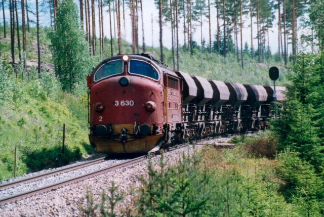 di3630_koppang_1999_kj.jpg