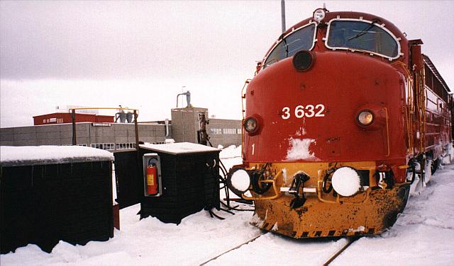 di3632_roros_19990216_sb.jpg