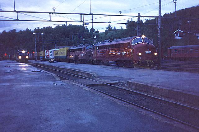 di3633.jpg