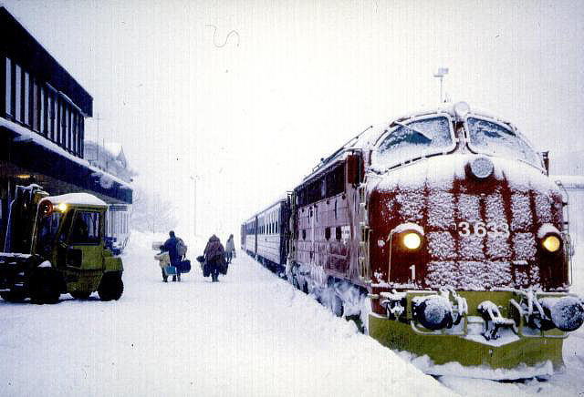 di3633_And.310195.rgn.jpg