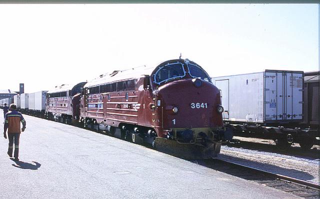 di3641.jpg