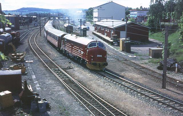di3643.jpg
