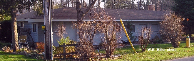 [L&PS 23 cottage 1]