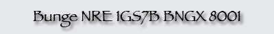 GG20B Rosters