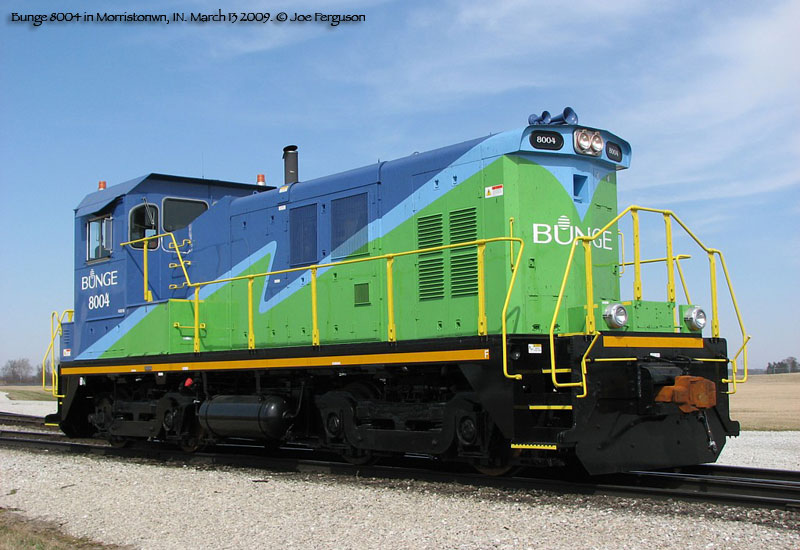 BNGX 8004
