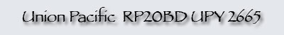 Page Banner