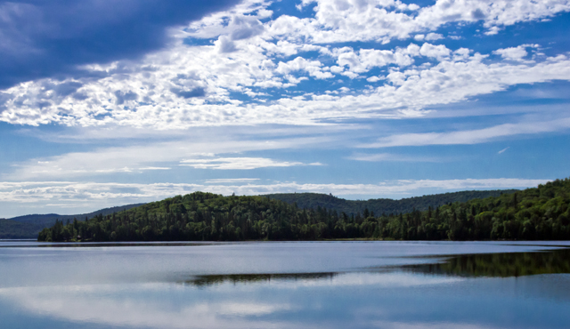 Trout Lake