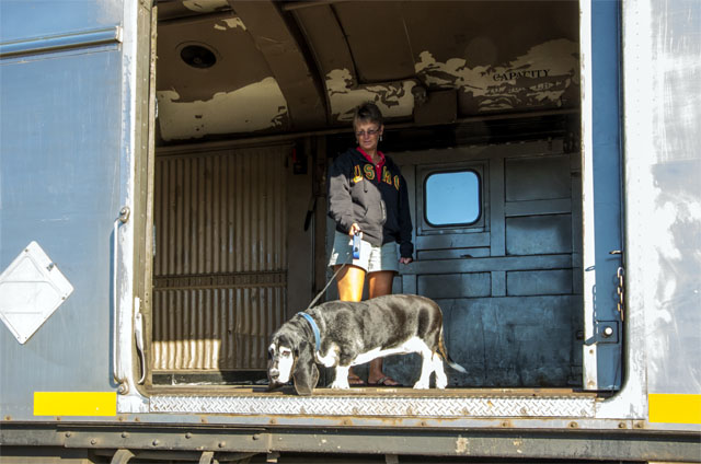 Basset and owner