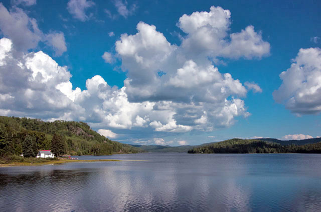 Trout Lake