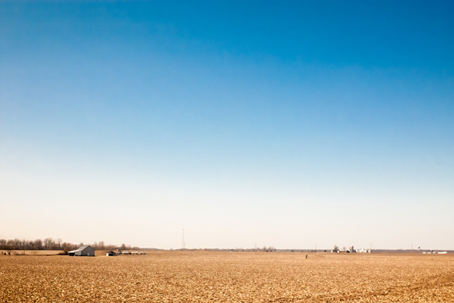 Illinois cornfields