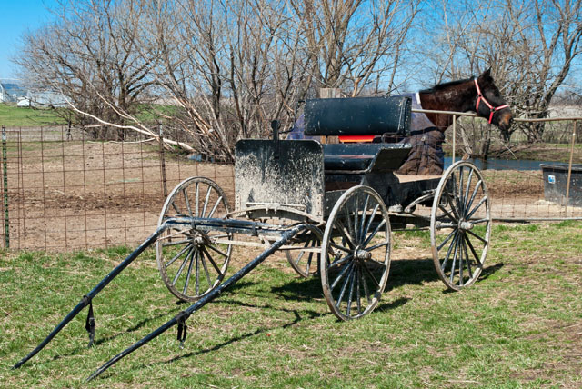 Horse and buggy