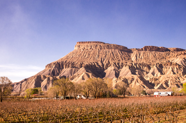 Near Grand Junction