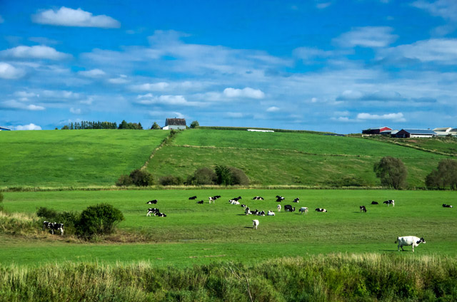 farmland