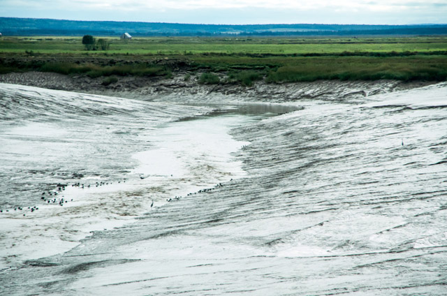 mud flats