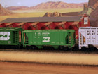 burlington northern covered hopper