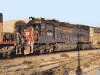 SP #8536