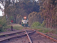 CalNorthern 107 switches @ Schellville, CA