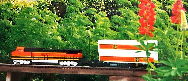 o gauge train in garden