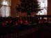 nt3.ctr.tree0070