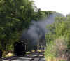 Loco_reversing.jpg (73560 bytes)